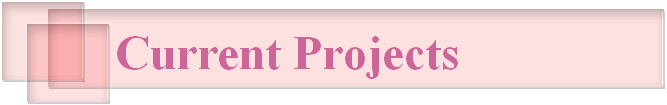 Current Projects